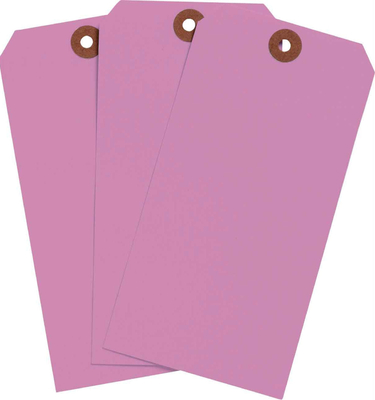 Custom Printing Logo Tag Plastik Polyester Waterproof Blank Tag untuk Peringatan