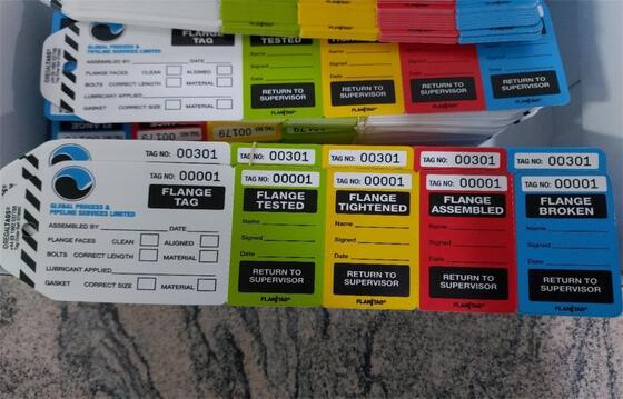 Flange Tag PVC Rectangle Double Side Printing Multi Stages Safety Tag for Warning